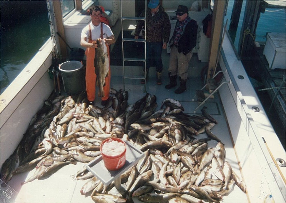 200 Codfish